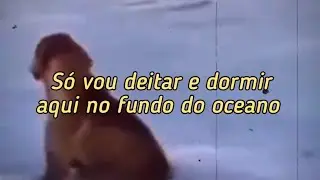 Feng Suave - Noche Oscura ( Legendado/Tradução)