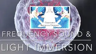 Cellular Clearing & Upgrades |  Frequency & Light Activation