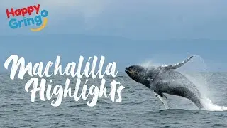Machalilla Highlights Tour - Happy Gringo