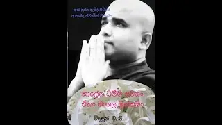 2017 02 07 Ven Ambilipitiye Ananda - Sammasamadhi Intl Meditation Ctr - Listen beyond Words & Time