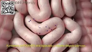 Efeitos Foodmaps
