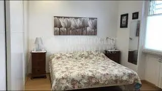 Staderini