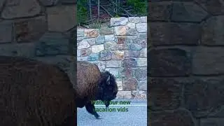 #epicencounter
