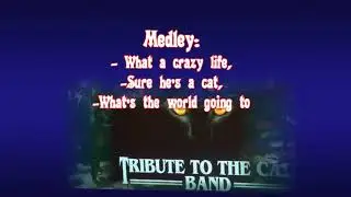 Tribute To The Cats Band - Medley:  What a crazy life-Sure he's a cat-What 's the world coming to.