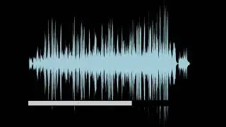 Sound of silence disturbed my style ￼