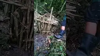 making simple trap for wild cat and bayawak