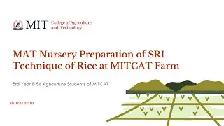 MAT Nursery Preparation of SRI Technique of Rice by #MITCAT students | #Cynosure