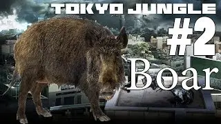 Tokyo Jungle - Boar Survival Part 2 of 3
