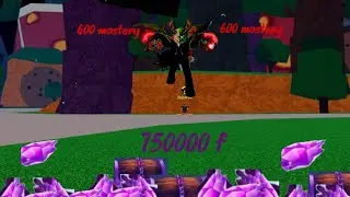 Blox Fruit Путь к полу админу фрагменты