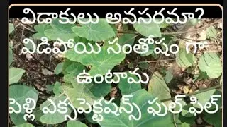 మన మీద మనకు ఎక్సపెక్టషన్స్ ఉండాలి ఇతరుల నుండి ఎక్సపెక్టషన్స్ ఉంటే అది మనకు బాదే కలిగిస్తుంది 