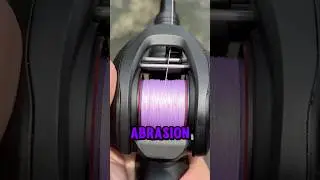 Stand Out and Hook Up &ndash; Purple Braided Line Power!🪻😮&zwj;💨 #purple #reactiontackle
