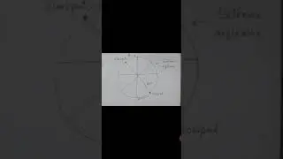OP position of vertex
