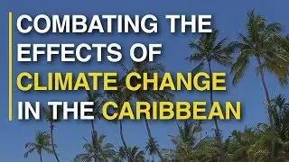 Combating the effects of climate change in the Caribbean