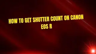 How to Get Shutter Count on Canon EOS R