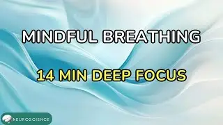 14 Minute Deep Breathing Meditation  Intermediate Build Concentration & Inner Calm