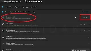 Can't Turn On Developer Mode in Windows Greyed Out ~ SOLVED
