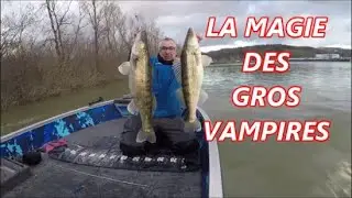 GROS SANDRE de Fleuve p&ecirc;che de verticale et lin&eacute;aire