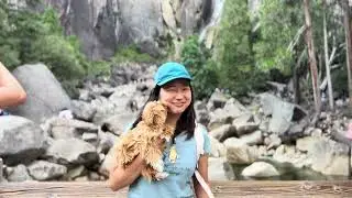 DOG FRIENDLY Spots at YOSEMITE National Park with Penny&Kloud