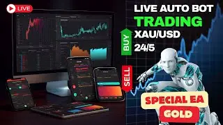 GOLD Auto Trade Bot | Live Trade XAUUSD | XAUUSD Auto Trade by Rubas Ali