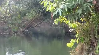 SIKIA JHORA BOAT SAFARI & PICNIC SPOT - AMAZON OF DOOARS, BUXA TIGER RESERVE #dooars,#sikiajhora,