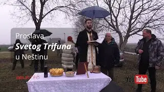 Proslava Svetog Trifuna u Neštinu 2025
