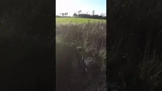 Сколько подземных камер еще не обнаружено?