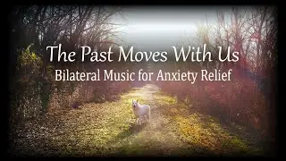 The Past Moves With Us 🎧 52 BPM Bilateral Stimulation Music | Healing, Calm, Emotional Release