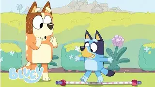 Bluey gaat de hindernisbaan te lijf 💙 🏃&zwj;♀️ | Bluey - Officieel Nederlands kanaal