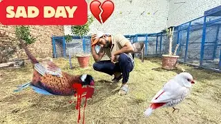 👉 