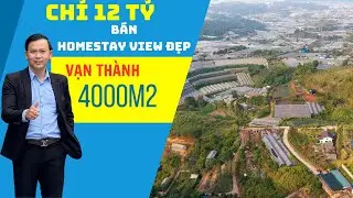 𝐁𝐚́𝐧 gấp Homestay  View đẹp Đà Lạt  4000m2 Khu Làng Hoa Vạn Thành Phường 5 giá 12 tỷ ( BĐS Đà Lạt )