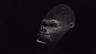 Skull Island: Reign of Kong 4K POV - Islands of Adventure