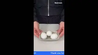 Most satisfying EGG peeling machine