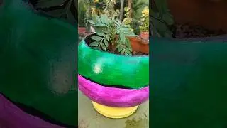 reuse old matka for merigold plant#flowers #reuse#nature