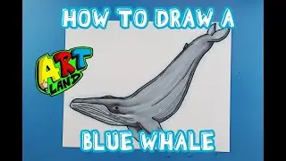 How to Draw a BLUE WHALE