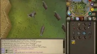 NEW RSPS QUICK VIDEO LITTLE STARTER GUIDE