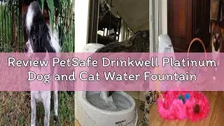 Review PetSafe Drinkwell Platinum Dog and Cat Water Fountain, Automatic Drinking Fountain for Pets,