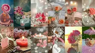 Beautiful & Amazing mobile wallpapers,,Hd wallpaper image