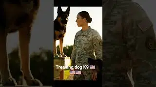 🔥