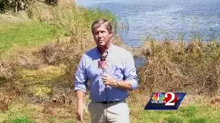 Palm Bay residents concerned over foul-smelling algae in Indian River Lagoon