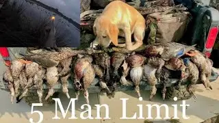 Hectic MN duck opener 2022 (30 ducks down)