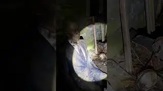 Wrong Turn Abandoned Movie Set | Flashlight POV Horror