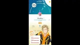 SHUNDO Mudkip - Swampert Maxing Out - 100% IV Shiny Swampert