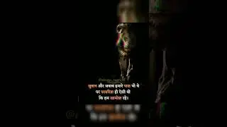 lion attitude quotes in hindi #attitudestatus #king #shortsfeed #mindset