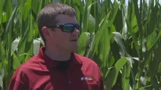 Retailer Brad Dodd talks about Acuron corn herbicide