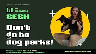 Don't Do Dog Parks
