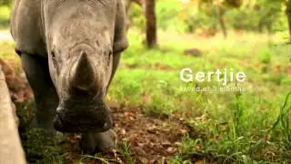 The Eyes on Rhino Campaign, in support of the Rescued Rhinos @ HESC