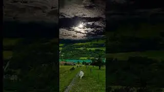Restful Retreat: Immerse in Calming Natural Scenes #peacefullandscapes #calmingscenery