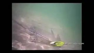 Box Anchor
