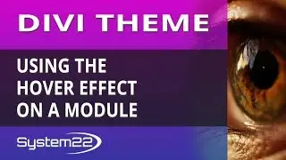 Divi Theme Using The Hover Effect On A Module