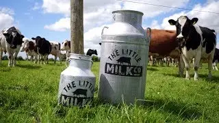 The Little Milk Company
